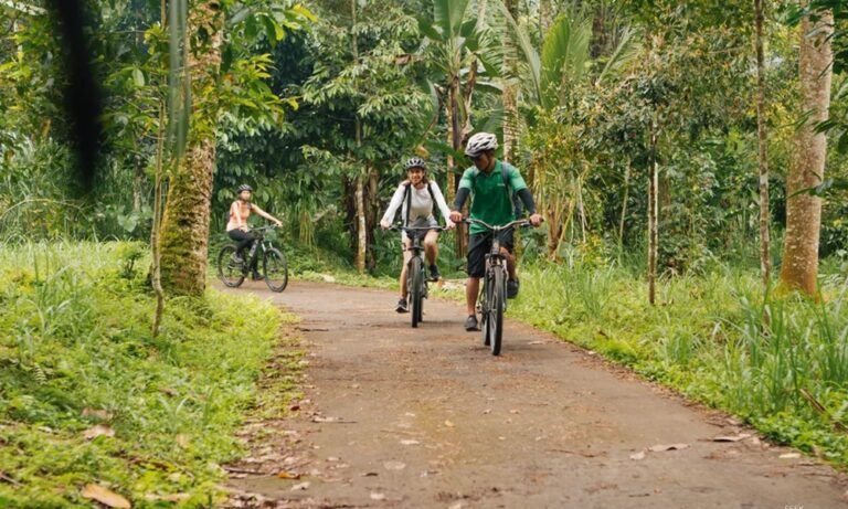 Bali Cycling Tour vs ATV Adventure