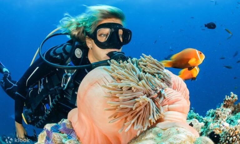 Bali Diving Experience vs Snorkeling
