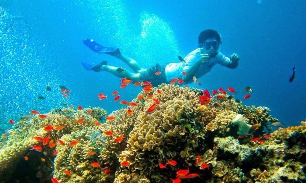 Bali Diving Experience
