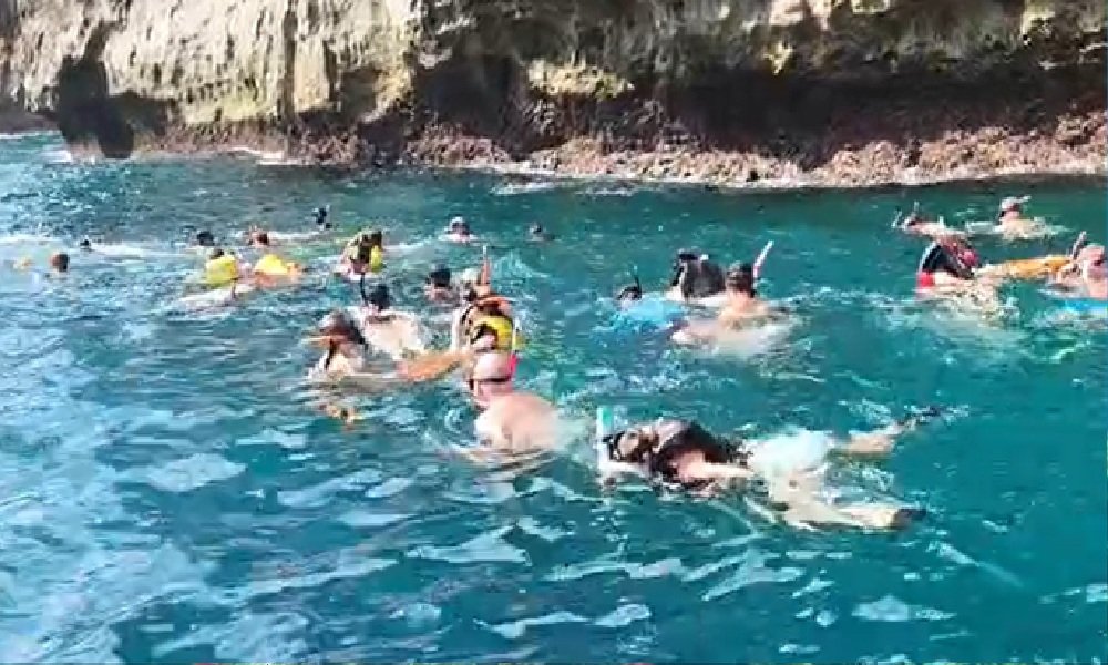 Bali Snorkeling Tour