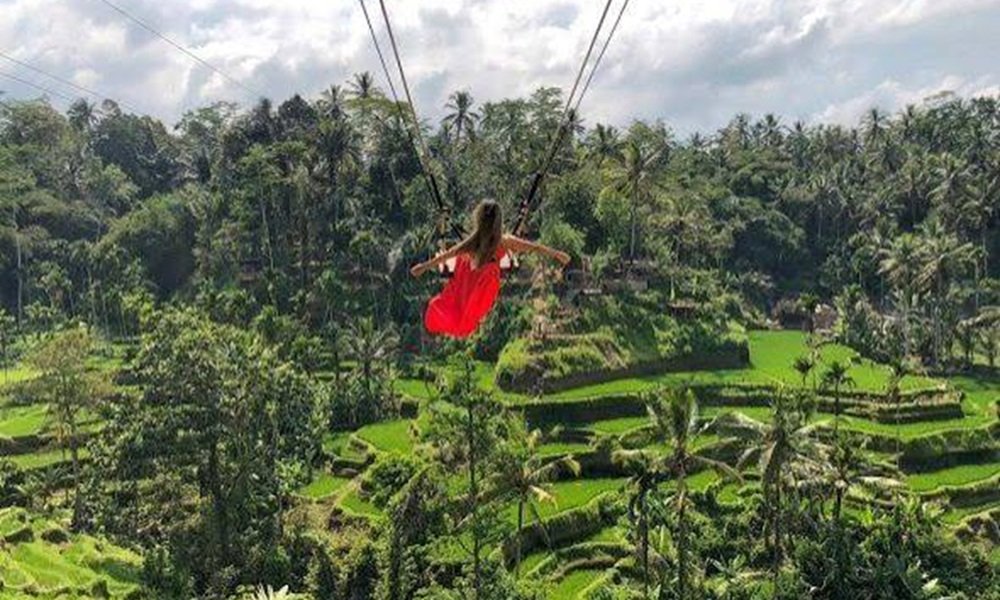 Bali Swing Experience