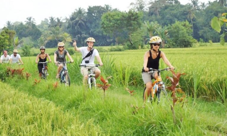 Best Cycling Routes in Bali