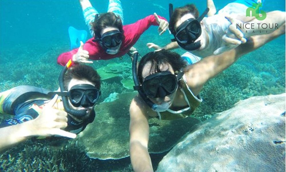 Nusa Penida Snorkeling Tour