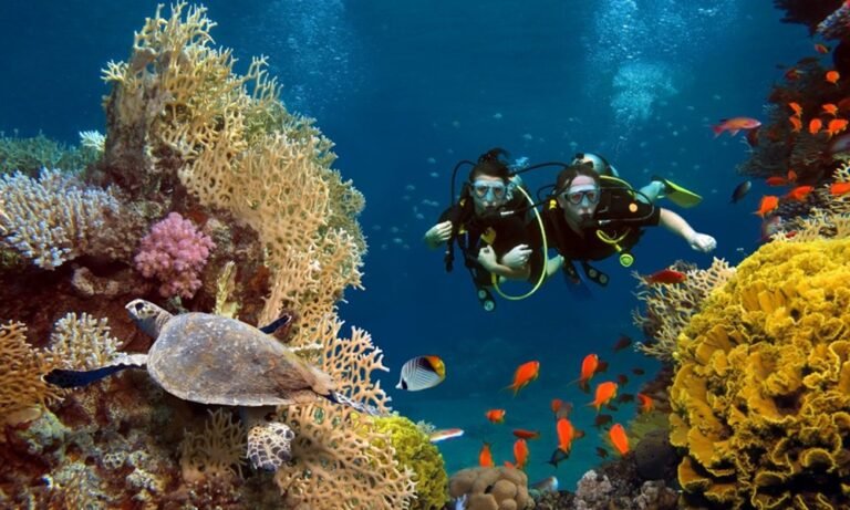 What to Expect on Your First Bali Dive