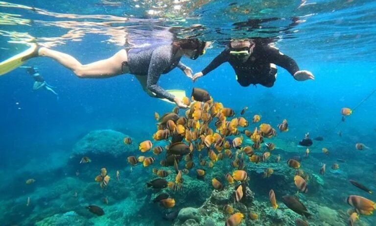 Best Time for Nusa Penida Snorkeling