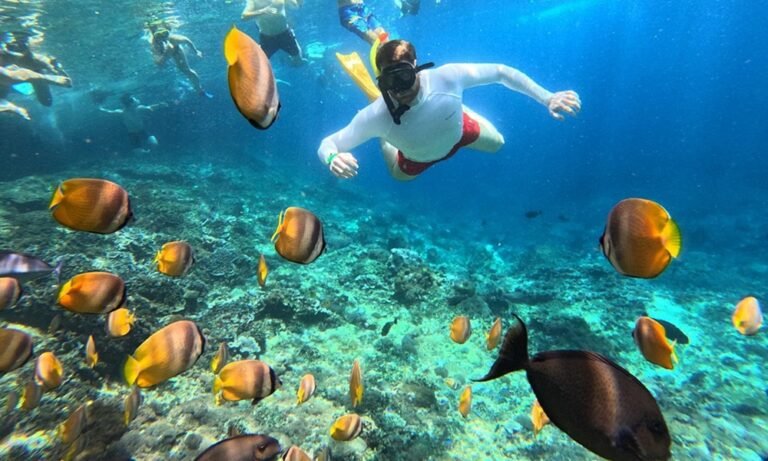 Can You See Manta Rays in Nusa Penida?