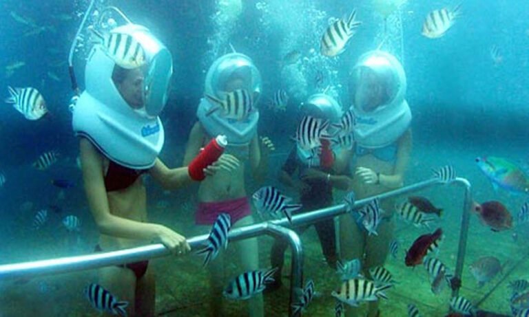 Is Bali Sea Walker Safe?