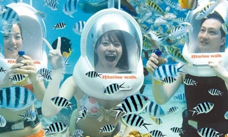 What Is a Bali Sea Walker Experience?